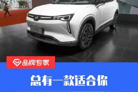 总有一款适合你 细数上海车展上市的那些纯电车型图片