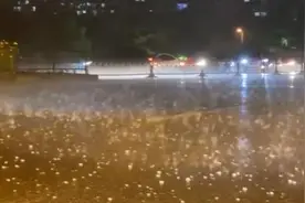 安徽多地现冰雹天气，冰粒子噼里啪啦砸下视频封面