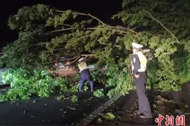 江苏南通出现冰雹和大范围雷暴大风 最大风力14级图片