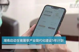 湖南启动生猪屠宰产业现代化建设5年计划视频封面