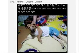 我爸给狗穿上了我的衣服：同一个世界，同一个爸妈图片