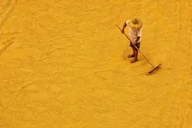 致敬每一个努力生活的人图片