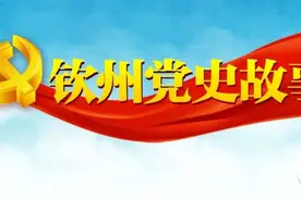 夜读，《钦州党史故事汇》| 朱守刚办学记图片