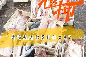 被抢光！5月1日禁渔期第一天 舟山码头的鲜鱼没货了图片