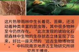 1500万年前的庞大生物群现世，都有谁？图片