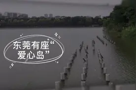 视频｜东莞有个“爱心岛”，背后故事令人着迷图片