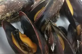 已致多人中毒！爱吃海鲜的你，这种常见贝类近期勿食图片