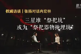 张扬对话冉宏林：三星堆“祭祀坑”或为“祭祀器物掩埋坑”图片