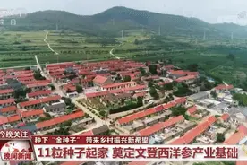 「新时代劳动者之歌」种下“金种子”带来乡村振兴新希望图片