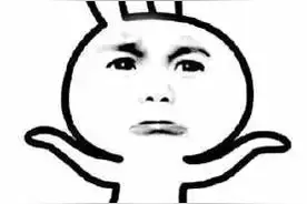 上海人很舍得为它们花钱！“五一”假期宠物寄养一晚要价三四百…网友：比人住酒店都贵...图片