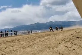 飒！“赛马王子”丁真策马扬鞭驰骋赛场图片