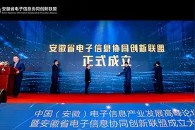 中国（安徽）电子信息产业发展高峰论坛在合肥召开图片