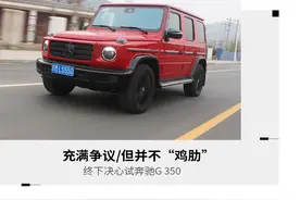 充满争议/但并不“鸡肋”终下决心试奔驰G 350图片
