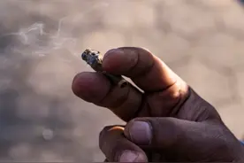 大麻使用在纽约合法化后 当地多所大学增设大麻课程图片