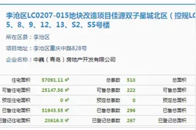 最新！李沧佳源双子星城北区166套住宅拿到预售图片