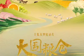 聚焦“中国饭碗”，《国家记忆》推出纪录片《大国粮仓》图片