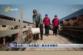 山东：“光伏模式”助力乡村振兴视频封面