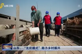 山东：“光伏模式”助力乡村振兴视频封面