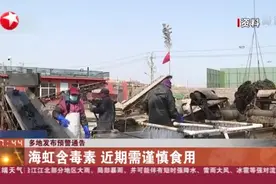 多地发布预警通告：海虹含毒素  近期需谨慎食用视频封面