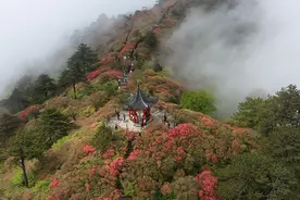湖北麻城龟峰山：半山云雾半山红视频封面