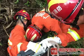 东兴一农家乐蓄水池惊现大蟒蛇，抓捕开始时，它突然“醒”了……图片