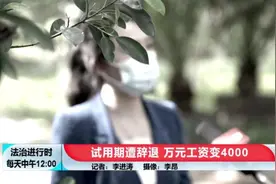 北京一女子在试用期遭辞退，万元工资变成四千图片