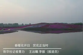 春暖花开日 赏花正当时视频封面