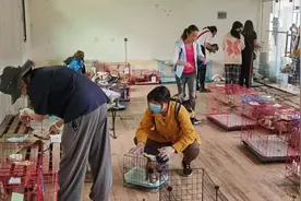 成都“宠物盲盒”涉事中通快递网点仍在派件，被指长期运送活体猫狗图片
