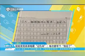 姐姐发现弟弟暗藏“记仇本”：每次都写下“我忍了”视频封面