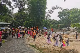 走进乡村品味农韵！广州乡村游持续火爆图片
