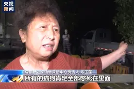 一问到底丨寄递"宠物盲盒" 猫狗奄奄一息 到底谁在违法？图片