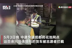 规范“宠物盲盒”，打击“带血的生意”| 新京报社论图片