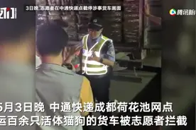 规范“宠物盲盒”，打击“带血的生意”| 新京报社论图片
