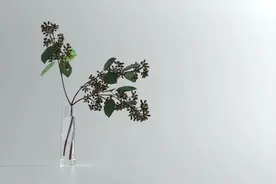 夜读 | 智者不争，仁者不责图片