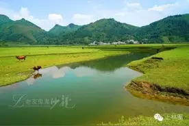 太美了！南宁周边的大草原，可以水库露营！车程2h！图片