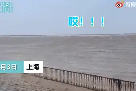 情侣游玩遇涨潮，岸边人员撕心大喊别亲了图片