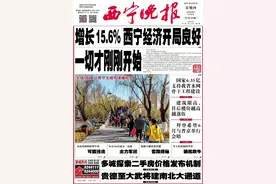西宁一垃圾填埋场被立案调查图片