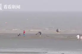 情侣海边激吻 保安狂喊叫停：涨潮啦，别亲了图片