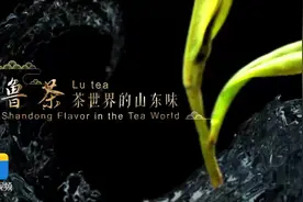 震撼发布！山东茶宣传片（英文版）亮相农业农村部、斯洛文尼亚驻华大使馆共同举办的世界蜜蜂日和国际茶日联合活动图片