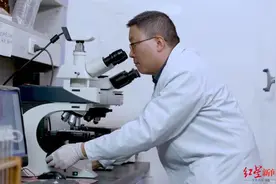 中科院生物质能源专家：实现“双碳”目标，碳零排和碳负排是关键图片