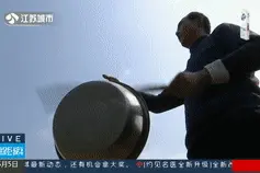 农民要种地，鸟儿不停地来"捣乱”~庄稼地里上演“人鸟之战”图片