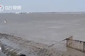 别亲了！涨潮了！上海情侣无视涨潮浪花中亲吻视频封面