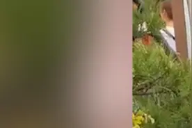 医生景区救人走红，景区为救人医生家乡人免票26天视频封面