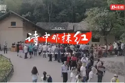 Vlog·诗中那抹红丨毛泽东：“我们所做的一切，都是为人民服务”图片