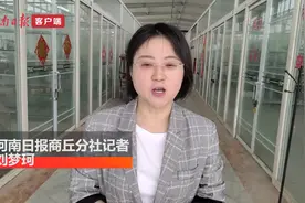 商丘鹦鹉养殖产业能否重获生机？图片