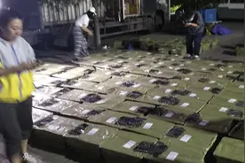 宠物盲盒被拦下之后：网购平台仍有低价猫狗出售，声称可快递运输图片