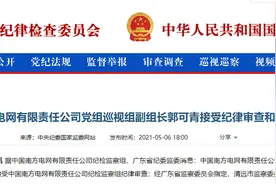 又一“电老虎”被揪出，多个电网高管被查图片