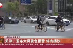 大风沙尘再袭北方：天津——发布大风黄色预警  伴有扬沙视频封面