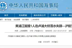 黄浦江1人在卢浦大桥落水失踪图片
