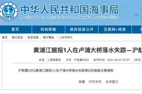 上海海事局：黄浦江据报1人在卢浦大桥落水失踪图片